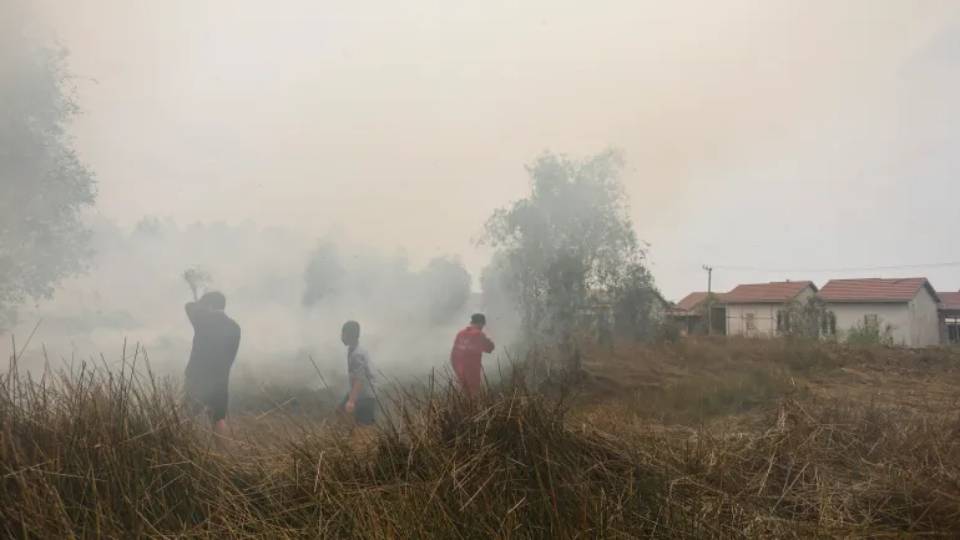 volunteers_struggling_to_extinguish_a_land_fire_that_reignited-South_Kalimantan_6WBAdY3.jpg