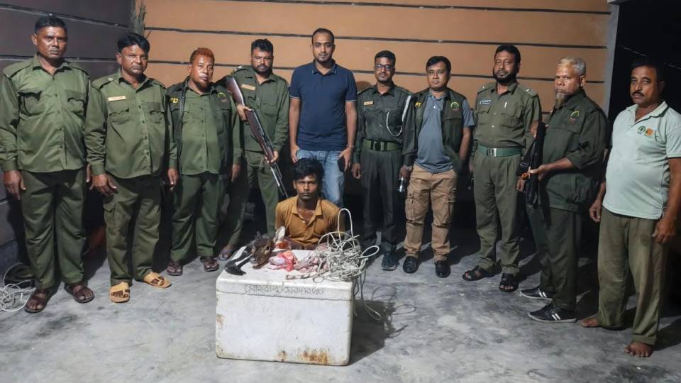 sundarbans-deer-hunting-equipment-seized.jpg