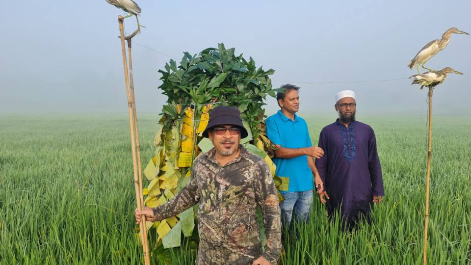 sherpur-birds-used-for-hunting-rescued.jpg