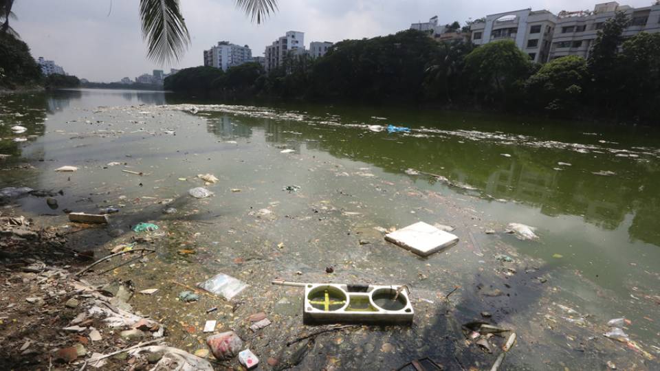 gulshan-lake-pollution.jpg